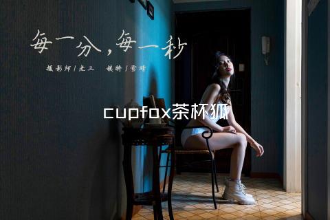 cupfox茶杯狐